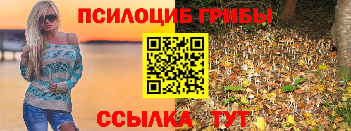 Галлюциногенные грибы мухоморы  Вход с VPN  Ижевск  Псилоцибиновые грибы Cubensis 